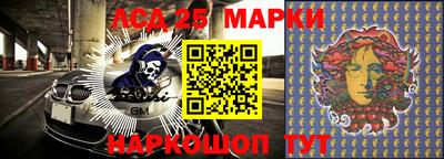 амф Кимры