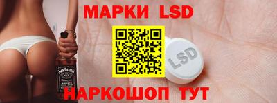 спайс Кингисепп