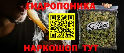 амф Кимры