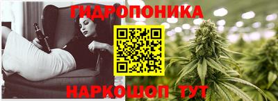 a pvp Кинель