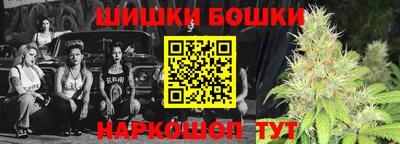 спайс Кингисепп