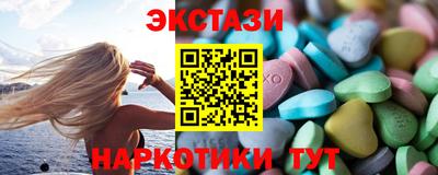 спайс Кингисепп