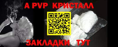 спайс Кингисепп
