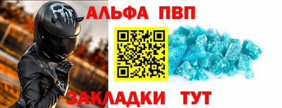 спайс Кингисепп