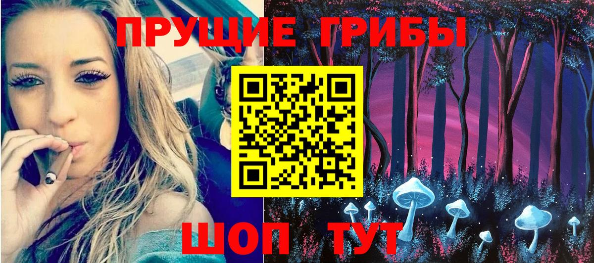 Кудрово  Галлюциногенные грибы MAGIC MUSHROOMS  Вход с VPN 